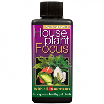 HOUSEPLANT FOCUS 100МЛ ДЛЯ КОМНАТНЫХ РАСТЕНИЙ -