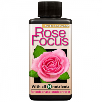ROSE FOCUS 300мл -