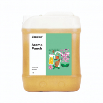 Simplex Aroma Punch 5л -